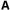 Larger Font