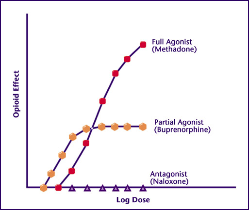 Buprenorphine Education: Technical explanation of Buprenorphine mu  receptor, affinity of agonist and antagonist